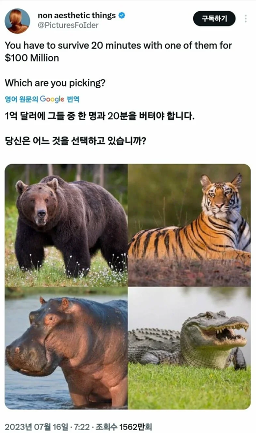 유머유머