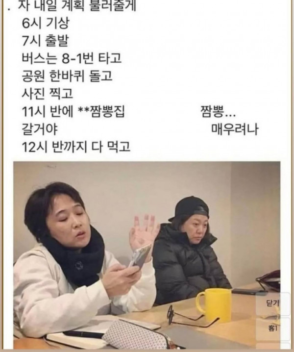  유머 대 유잼쓰