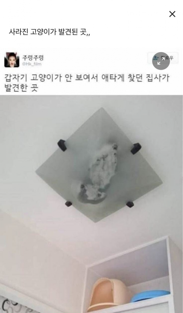 86a38efeba663d2ac80b736d1cc9f02d_1758099375_1876.png