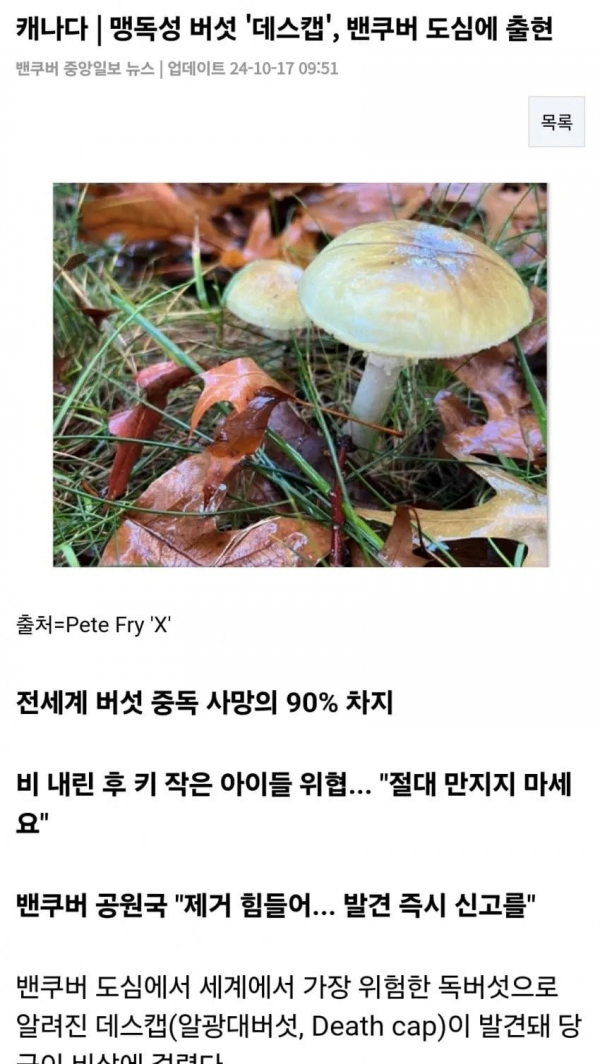 99990ade0dae7d355af59586bd84eb91_1759538197_07.png